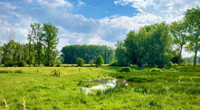 Y260205 Scheldemeersenmerelbeke