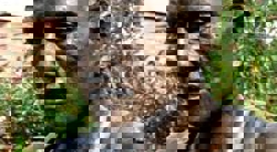 Renner Jef Demuysere