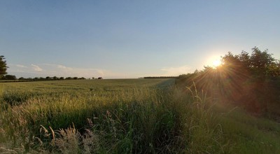 Wandelen (1)