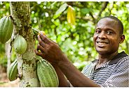 Cacaoboeren in D.R. Congo
