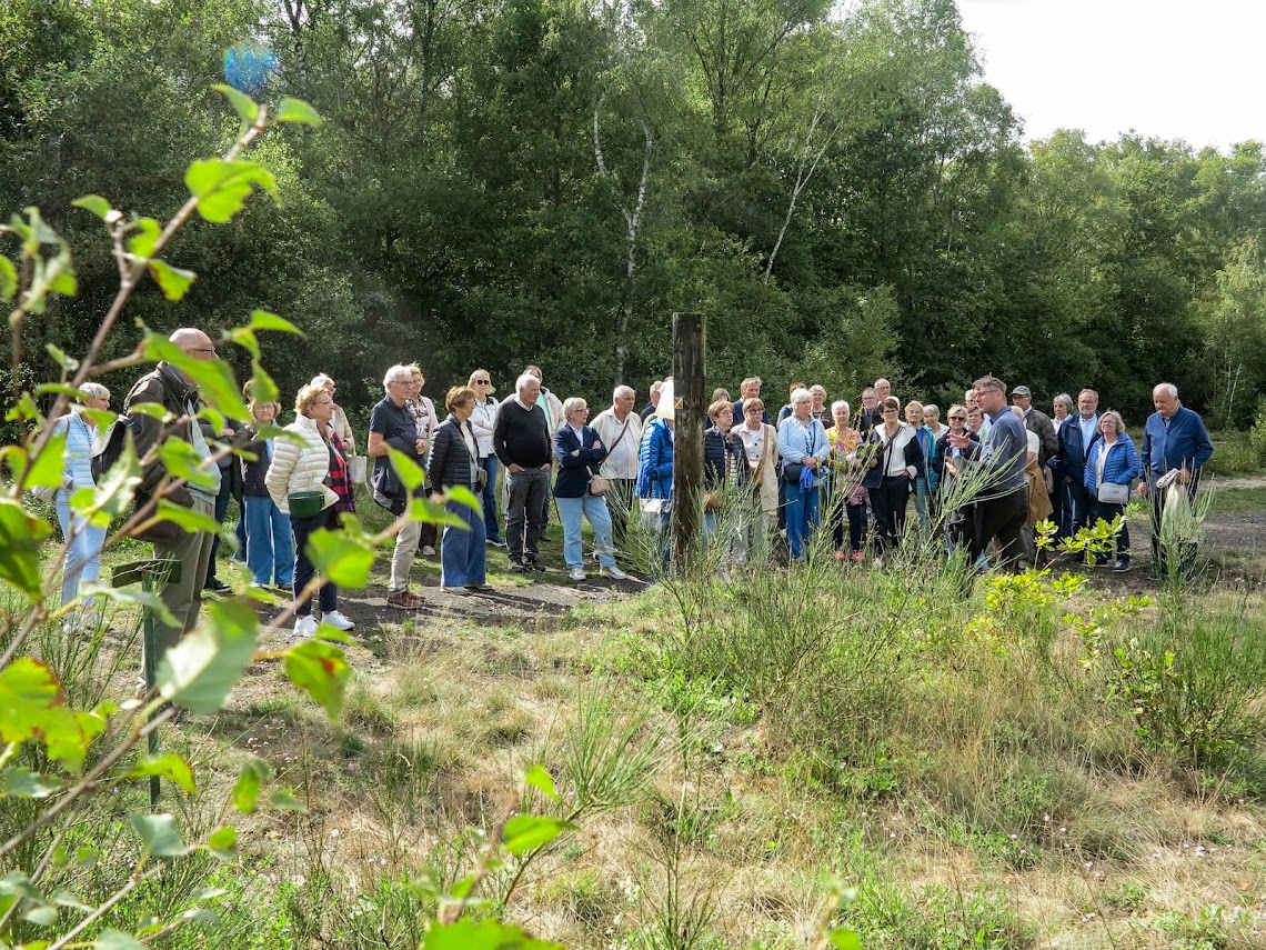 Neos Land Van Herve 0615