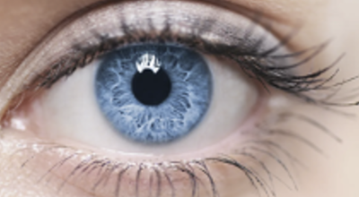 OOG Bedrog V Waarnemingen