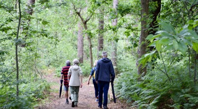 17B3891e 1048 42Ee 801D 4Ad940884ec3 1 105 C