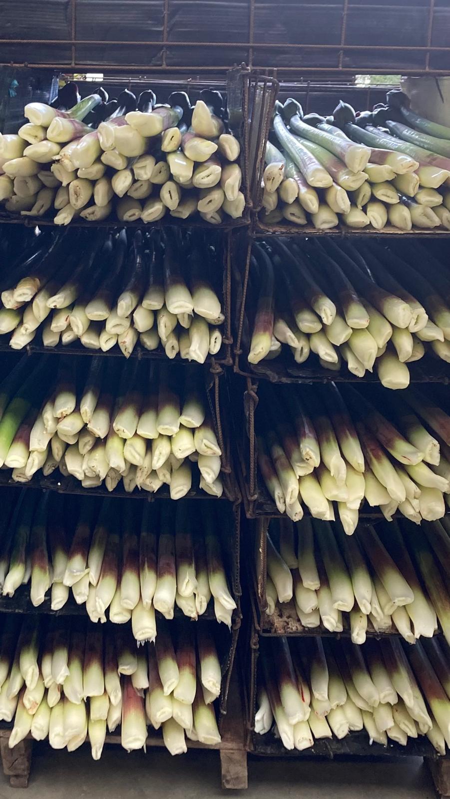 PHOTO 2025 12 12 20 41 23[4]