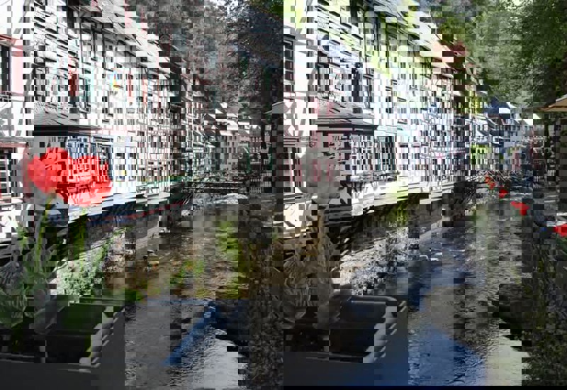 FB IMG 1746462405334