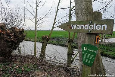 Wandel