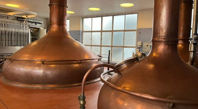 20241119 Wintertuin13