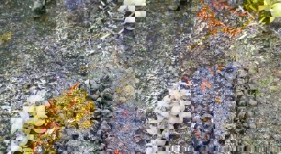 7847790F A300 46C2 B347 D843c727b771