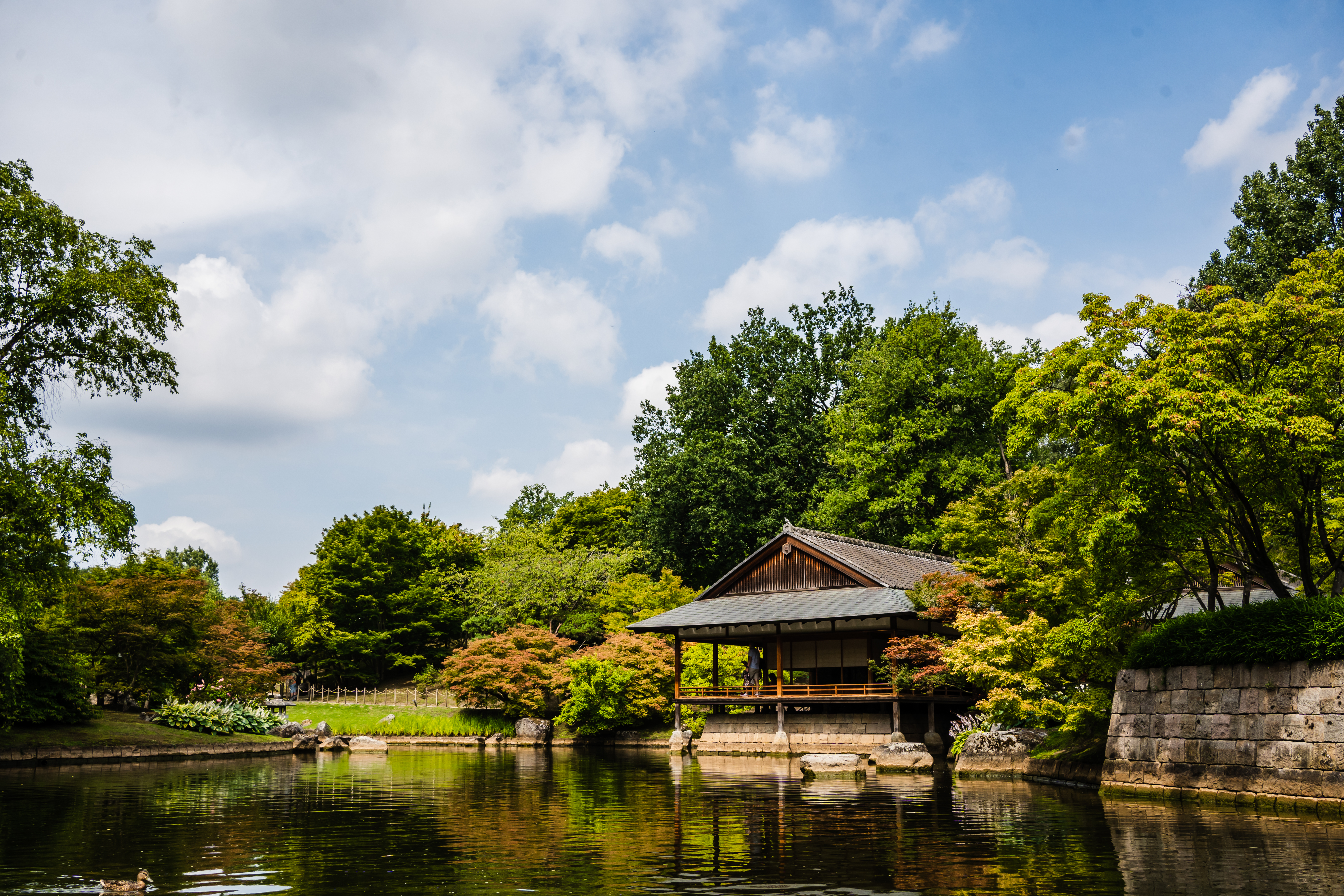 Japanse Tuin
