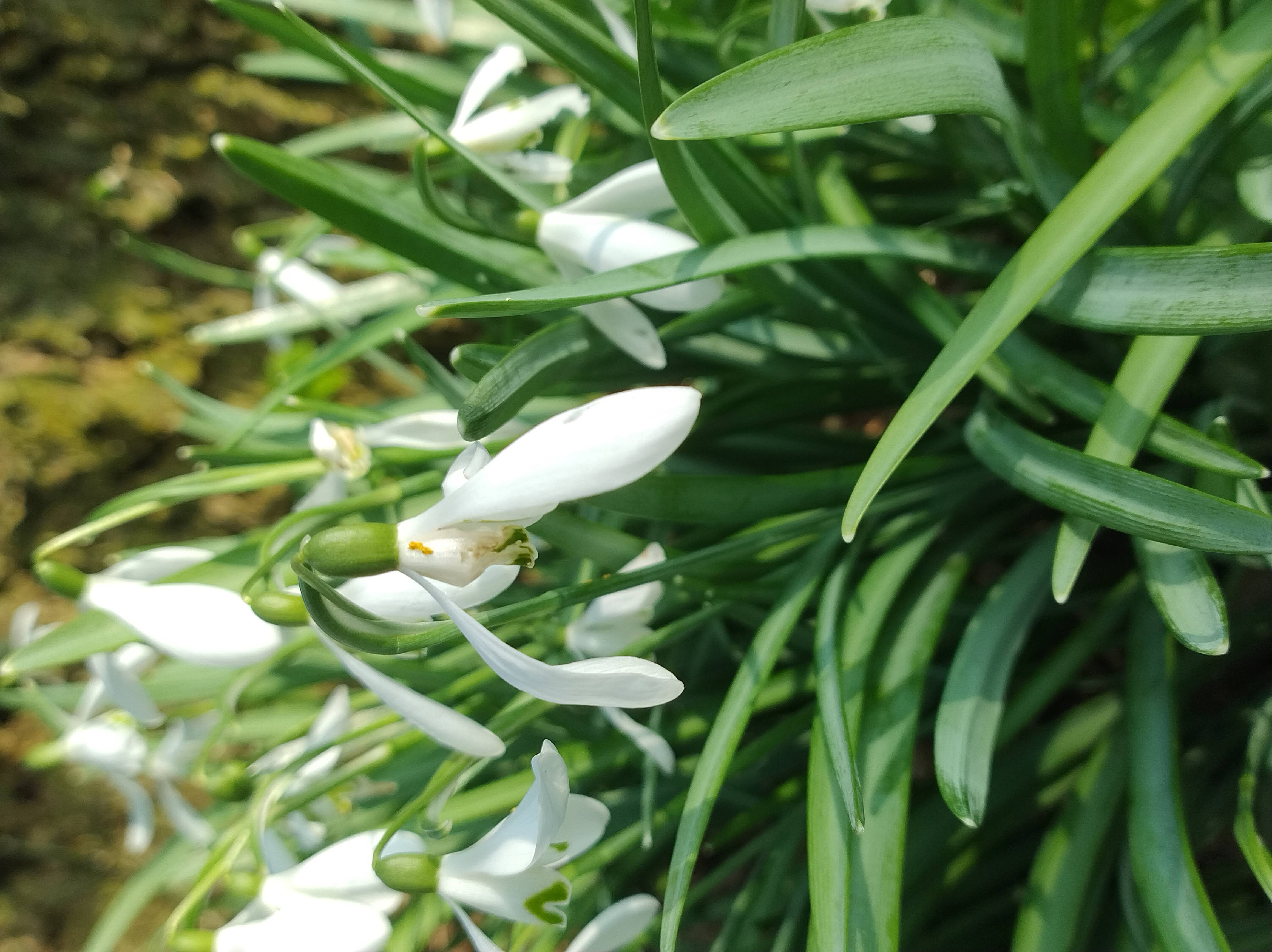 IMG 20240307 110055270 HDR