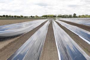 Afbeelding met buitenshuis, hemel, wolk, weg

Automatisch gegenereerde beschrijving