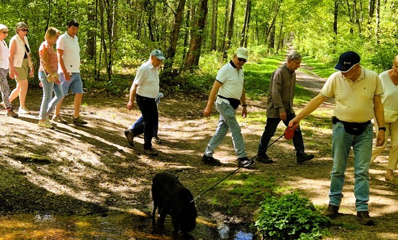 20250429 Wandeling Pietersheim
