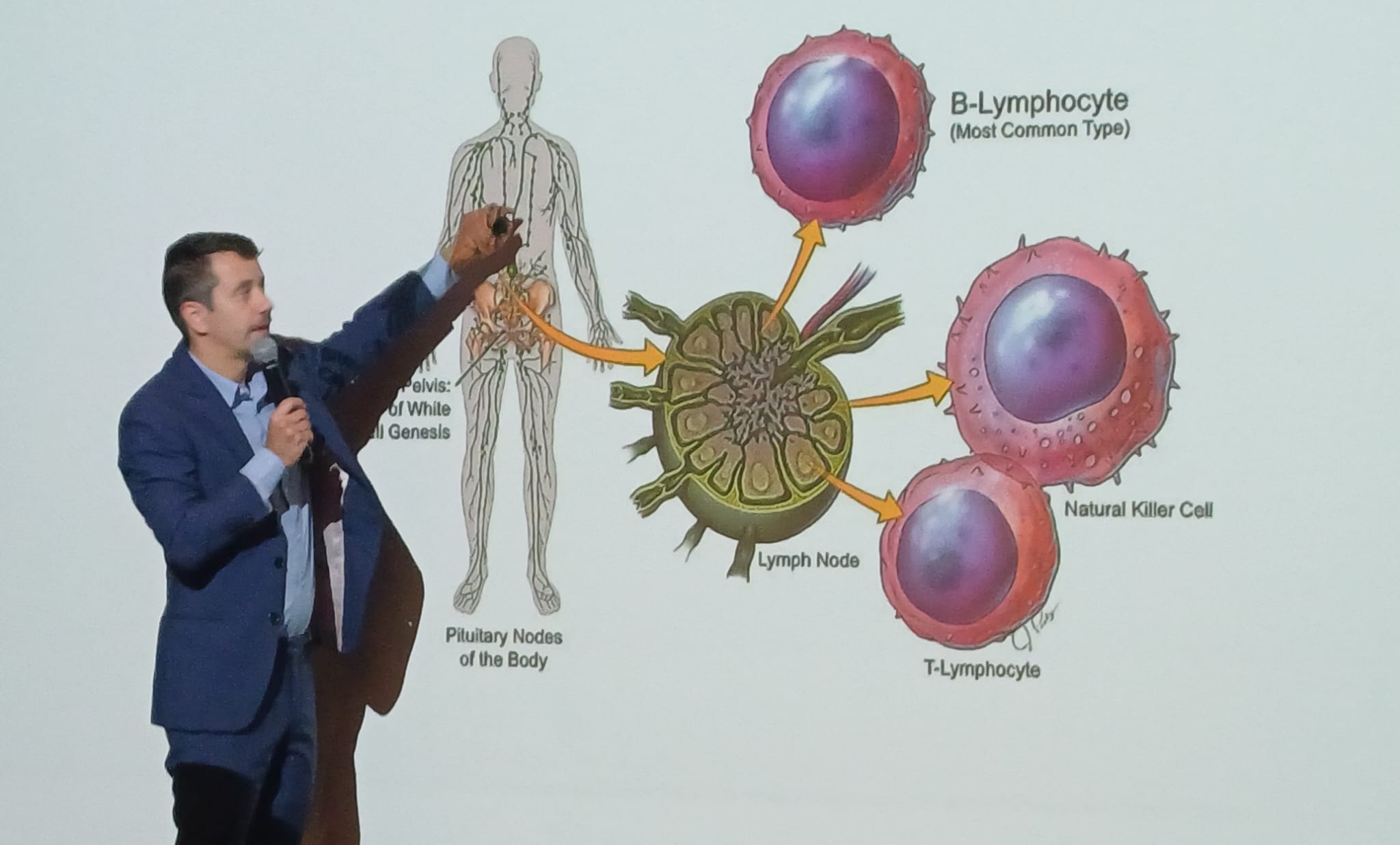 Whatsapp Image 2026 04 02 At 163956 4