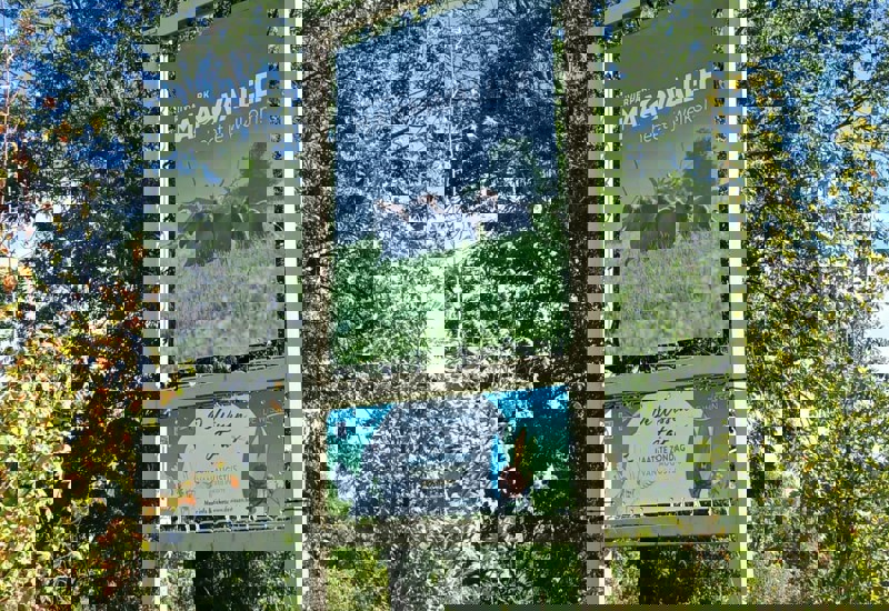 IMG 20250911 WA0013