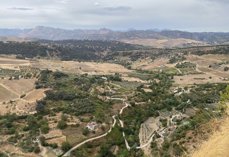 Ronda Vll