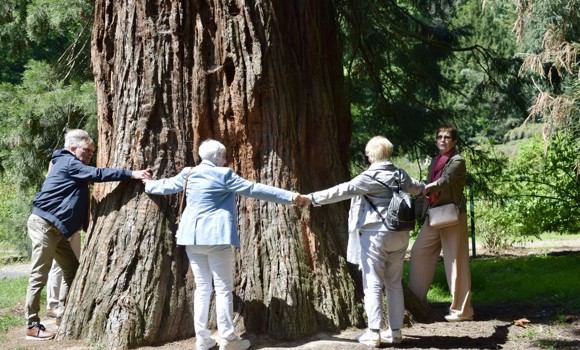 Abf559dd B41f 41Cb A2b7 085127390A0d 1 105 C