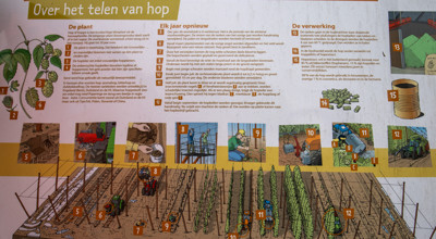't Hoppecruyt Proven