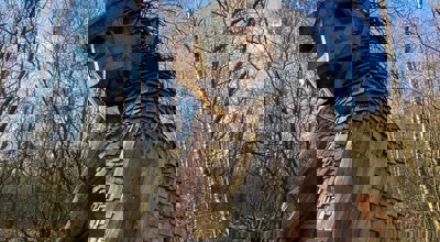 132124979 5102403119777368 7538568205717586205 N (1)