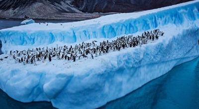 Foto Antartica