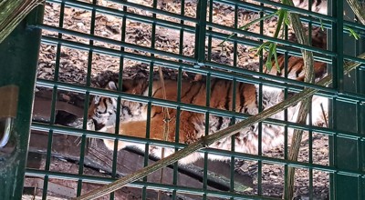 natuurhulpcentrum (1)