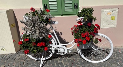 Fiets1