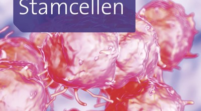 Stamcellen 2