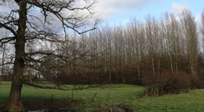 Wandeling Gaasbeek 2025