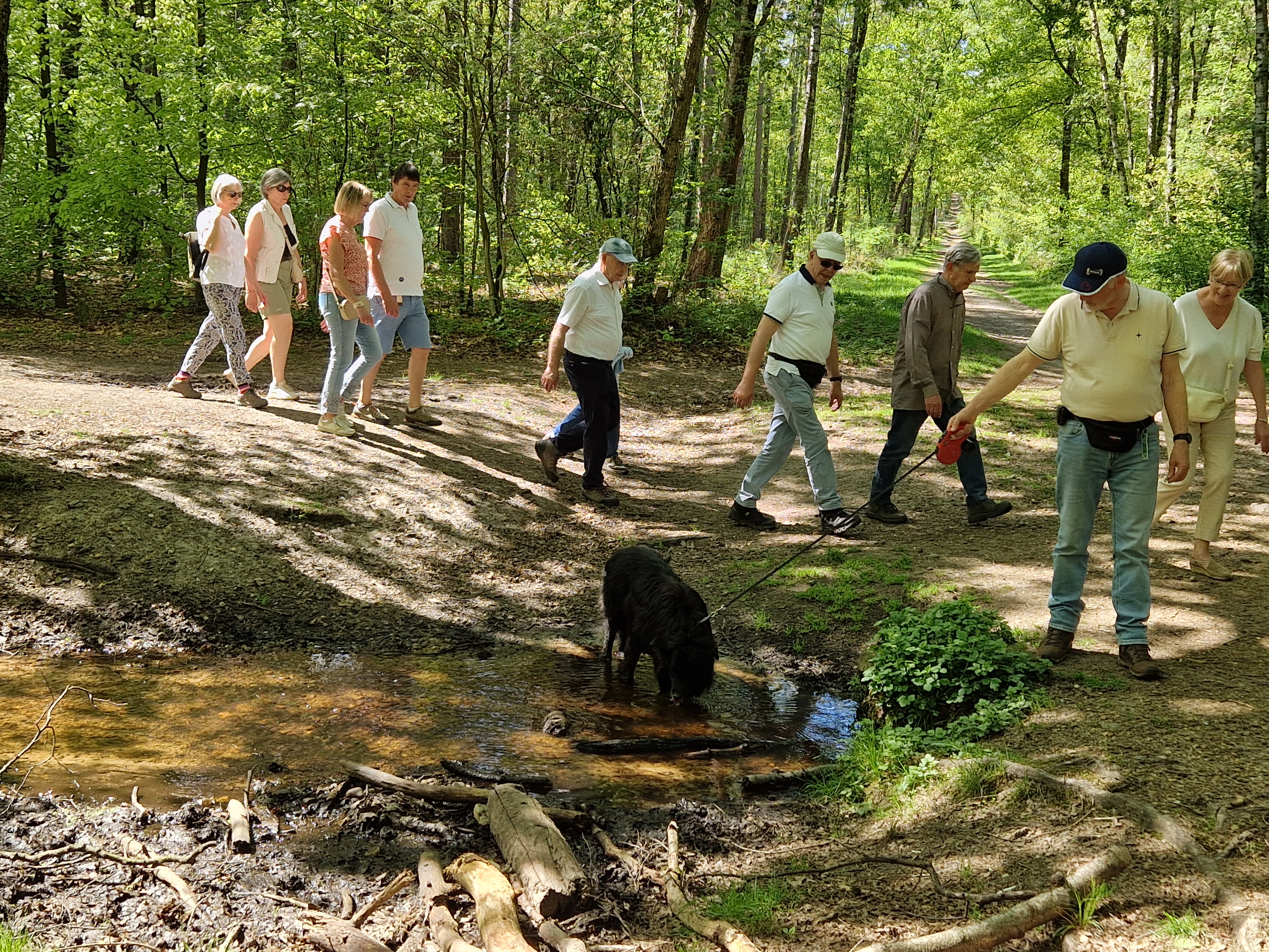 20250429 Wandeling Pietersheim