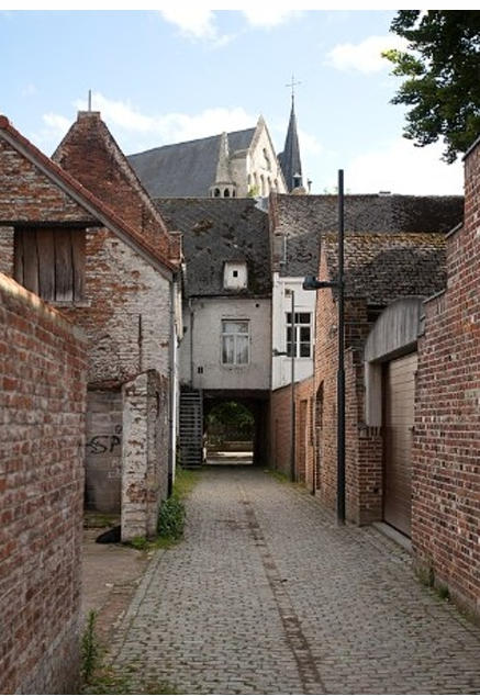 Screenshot 1769691564231