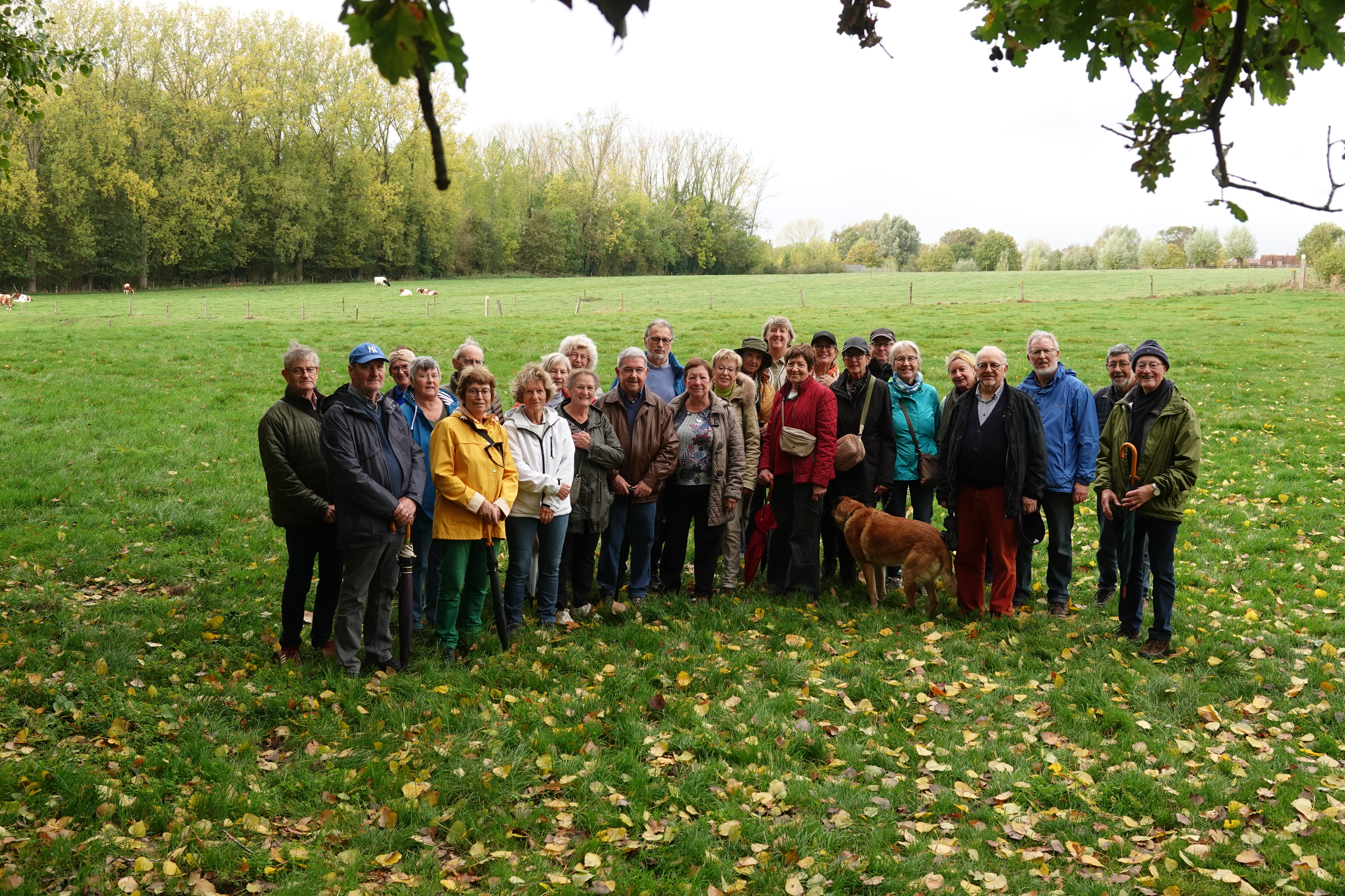 2025-10-21 Wandeling: Beerlegem
