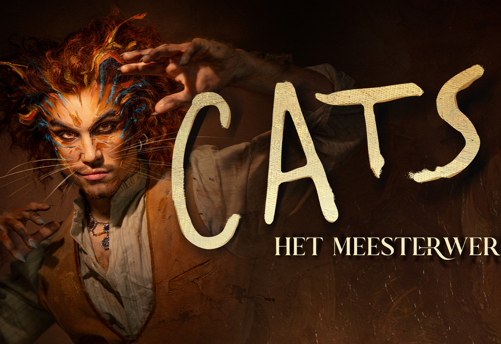 Cats Foto Rob Jacobs 1920X1080