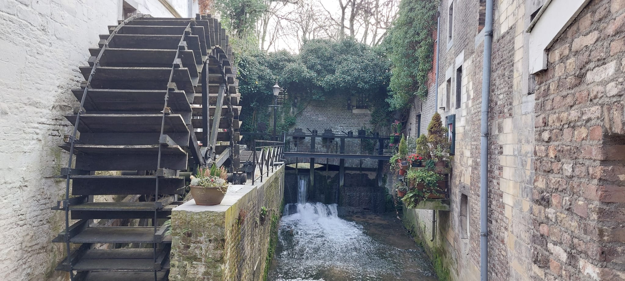 Whatsapp Image 2026 03 10 At 20.56.59 (1)