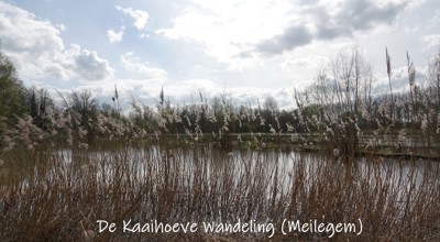 Kaaihoeve