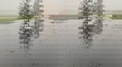 2023 Dagwandeling November