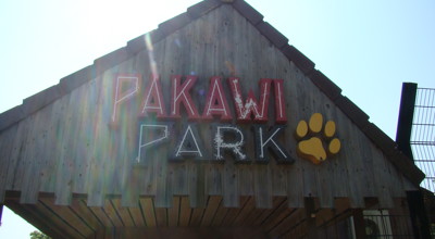 230608Pakawi(6)