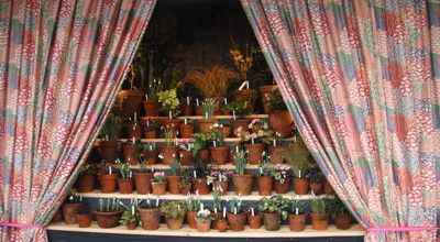 Winterwandeling Arboretum