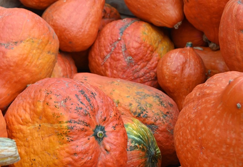 Pompoen