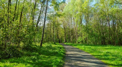 20-03-2026 Stadspark Aalst