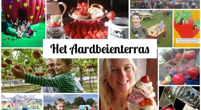 Collage Aardbeien Terras 1920X1280x