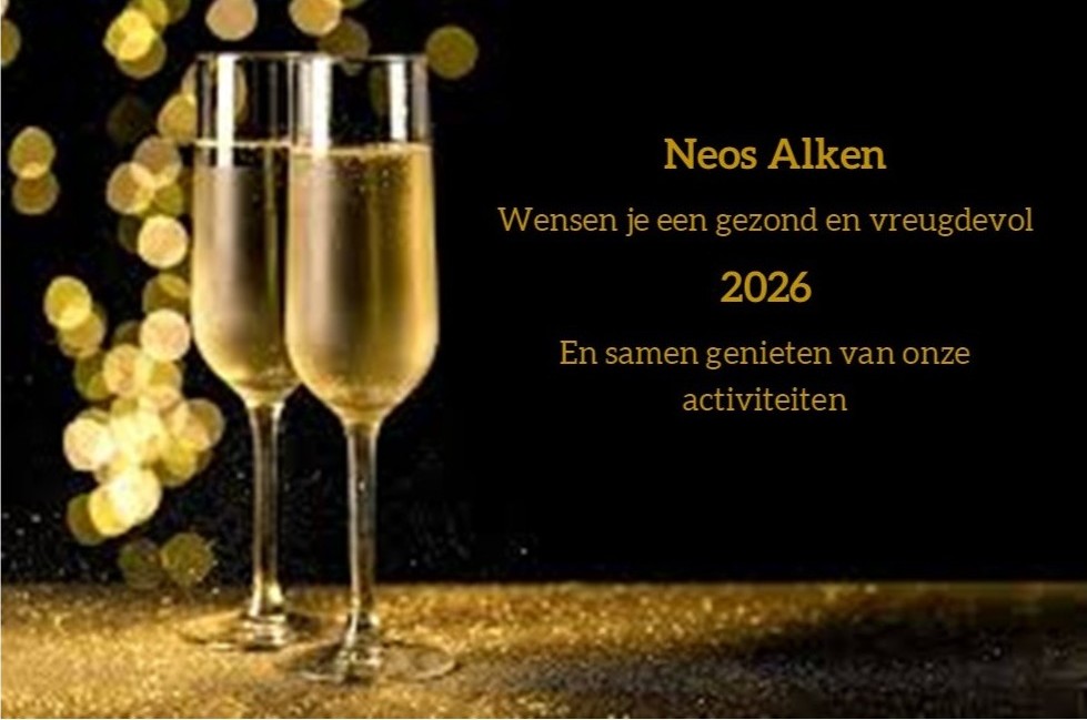 Publicatie2 Nieuwjaar3