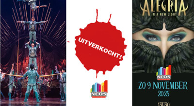 Alegria Cirque Du Soleil