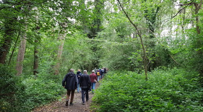2026-06-11 / Wandeling in Munte