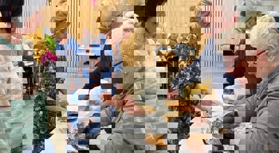 B3f8bdd8 63Ae 4F6d 9834 Cf20e745c287