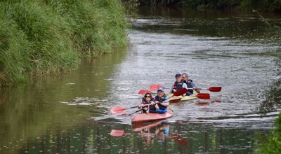 3695Ad40 3E9c 4743 Bc10 B41f2f63afa0 1 105 C