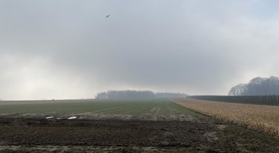Lubbbeek-Binkom