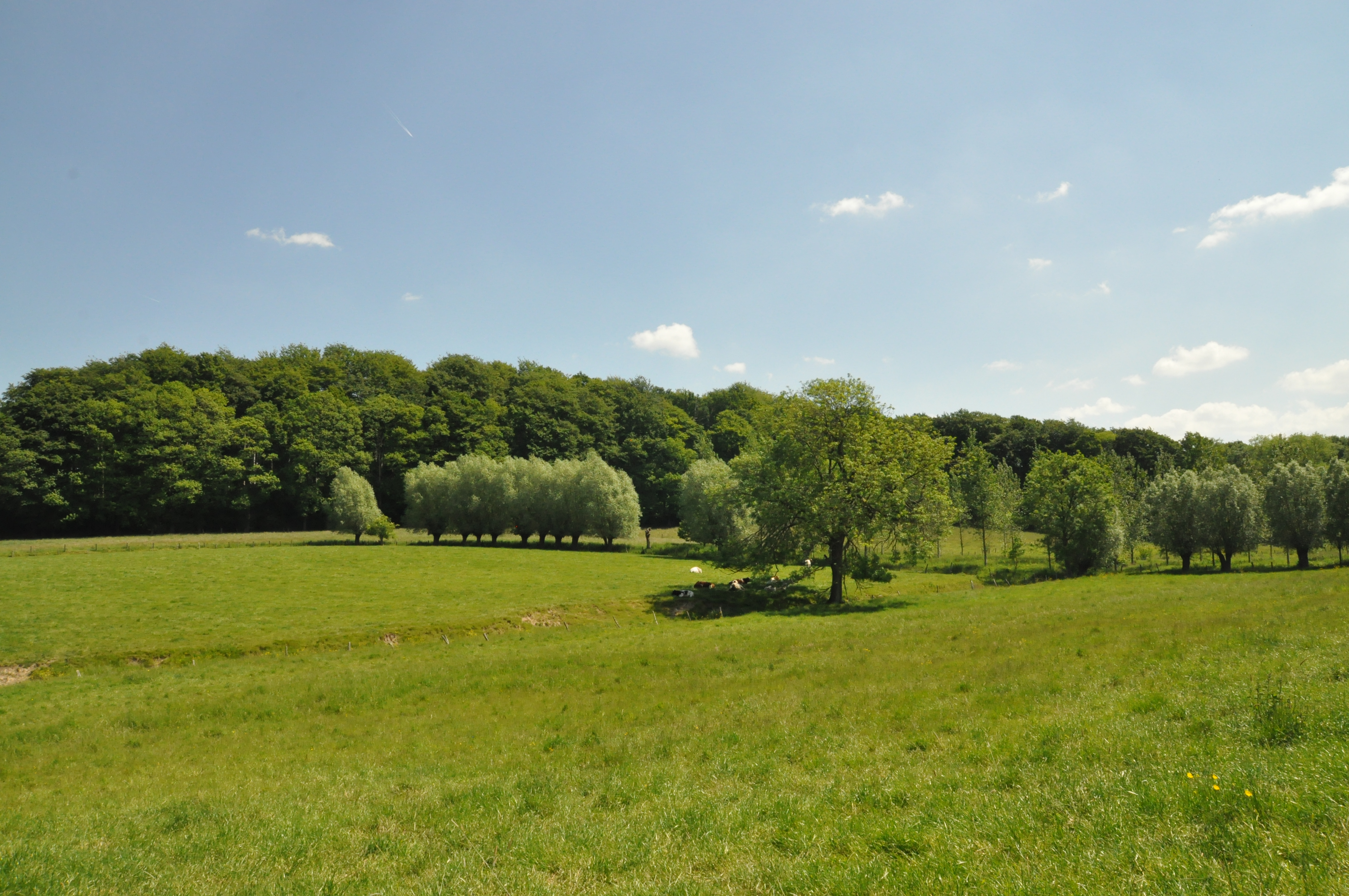 Hugoclauswandeling5