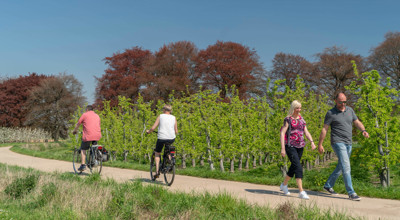 fietsen en wandelen