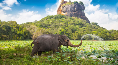 SriLankaLJ