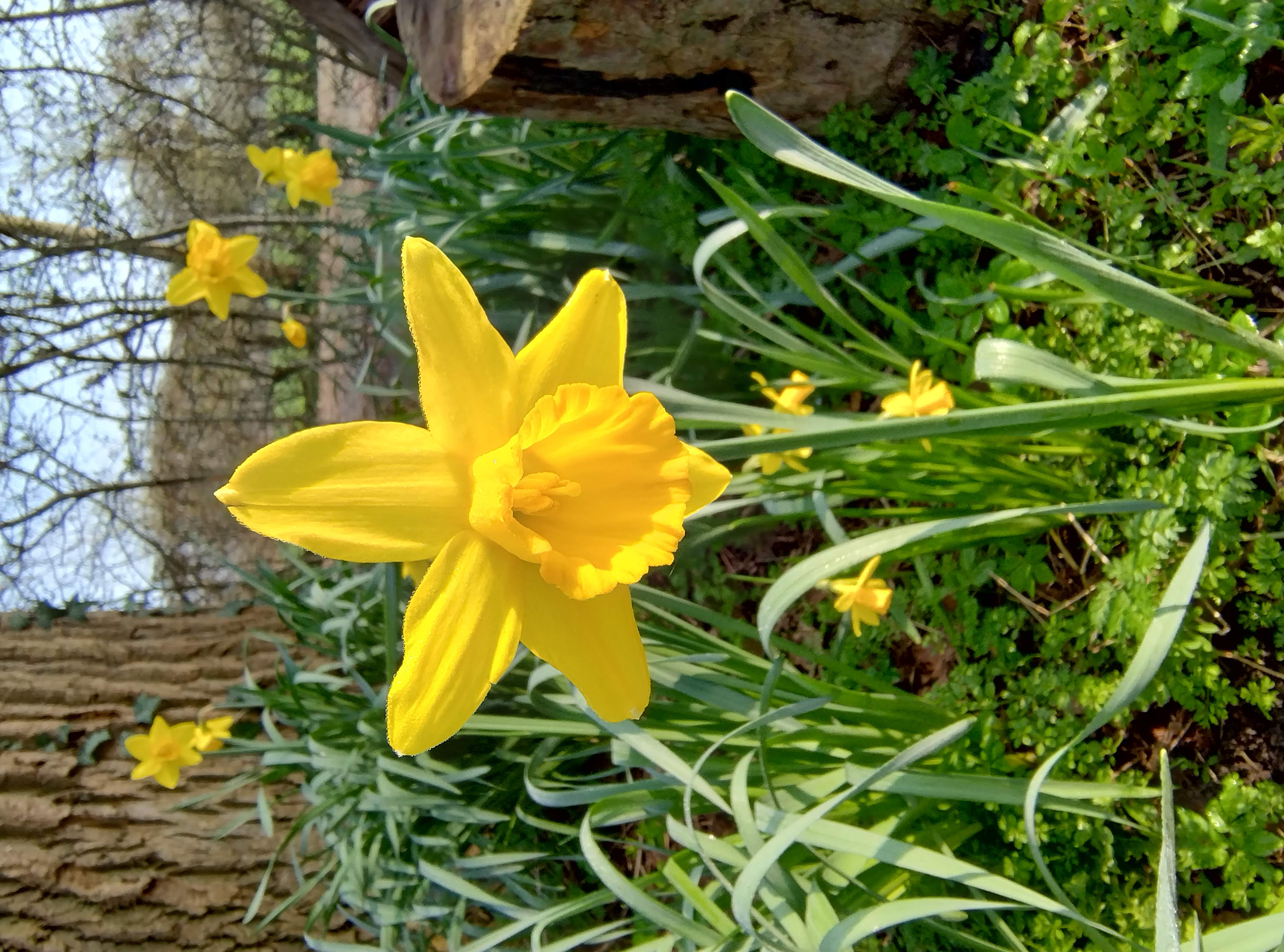 IMG 20240307 104847208 HDR