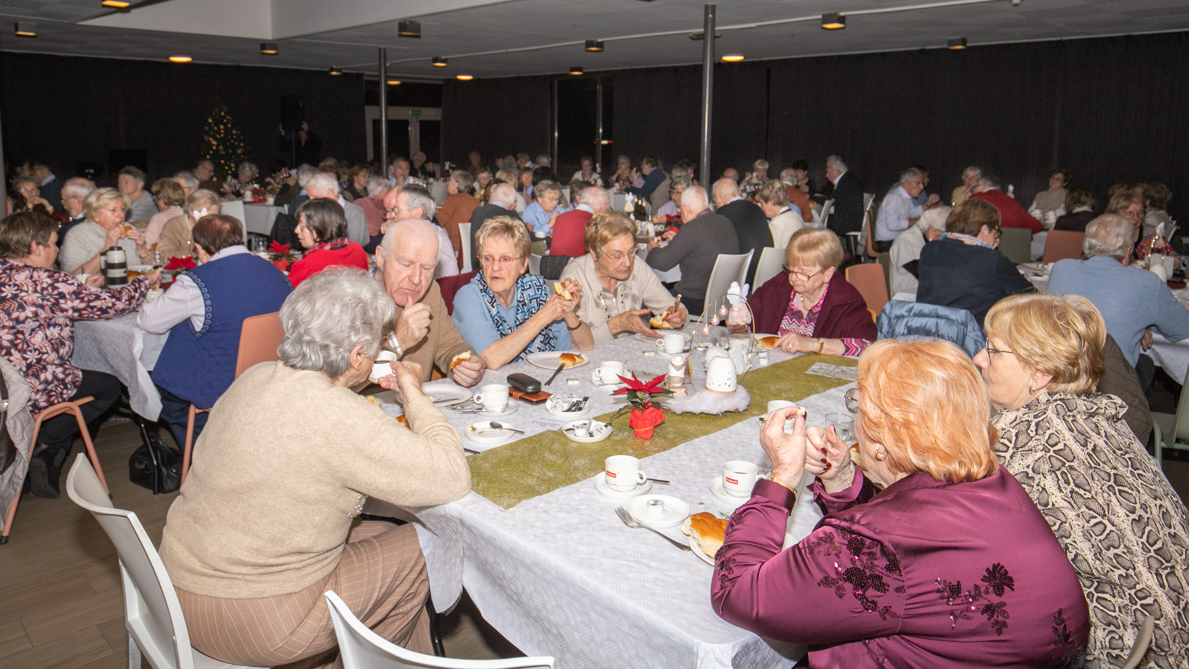 Kerstfeest foto 2025